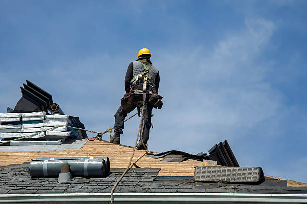 Professional Roof Replacement technician working in Lamont, FL